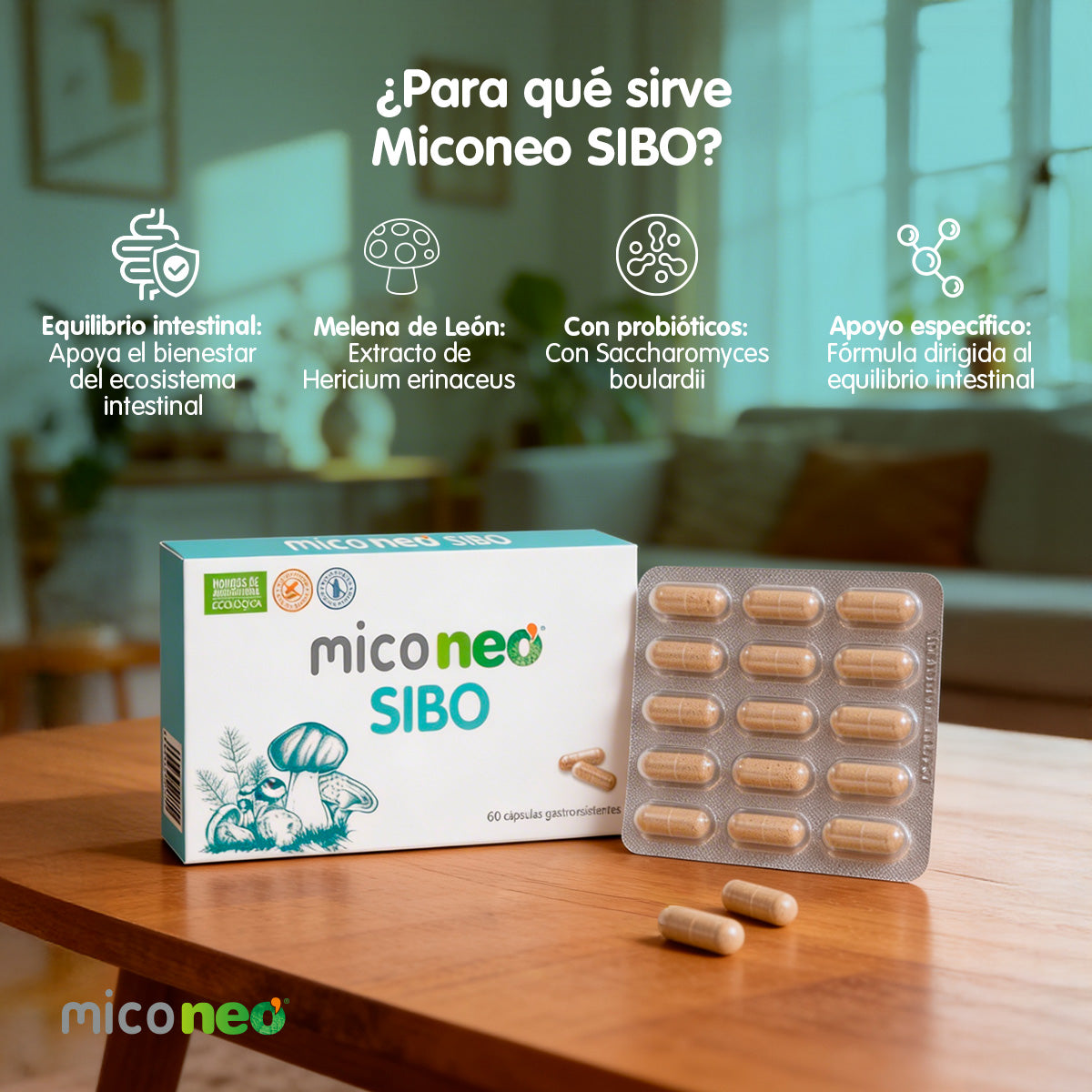 MICONEO SIBO