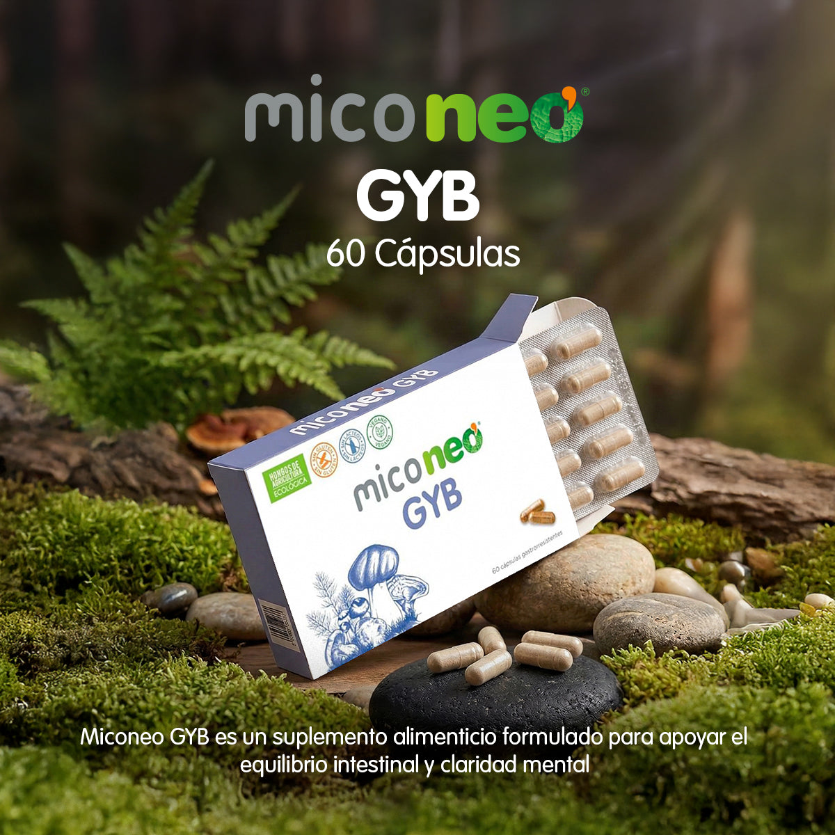 MICONEO GYB