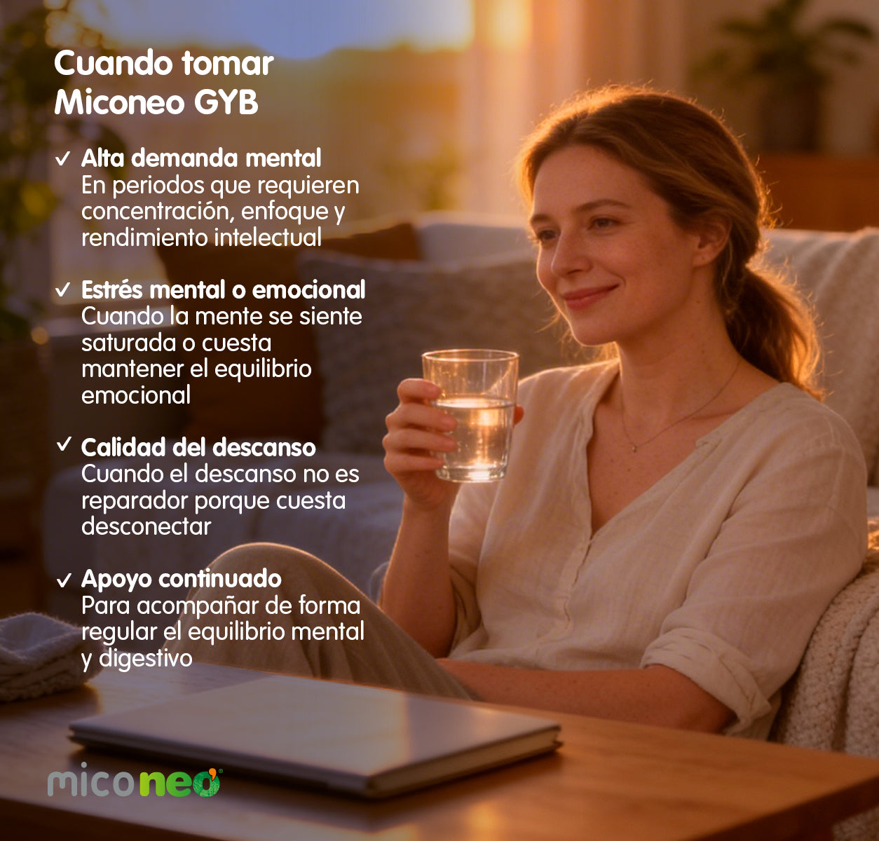 MICONEO GYB
