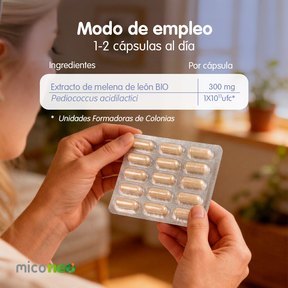 MICONEO GYB
