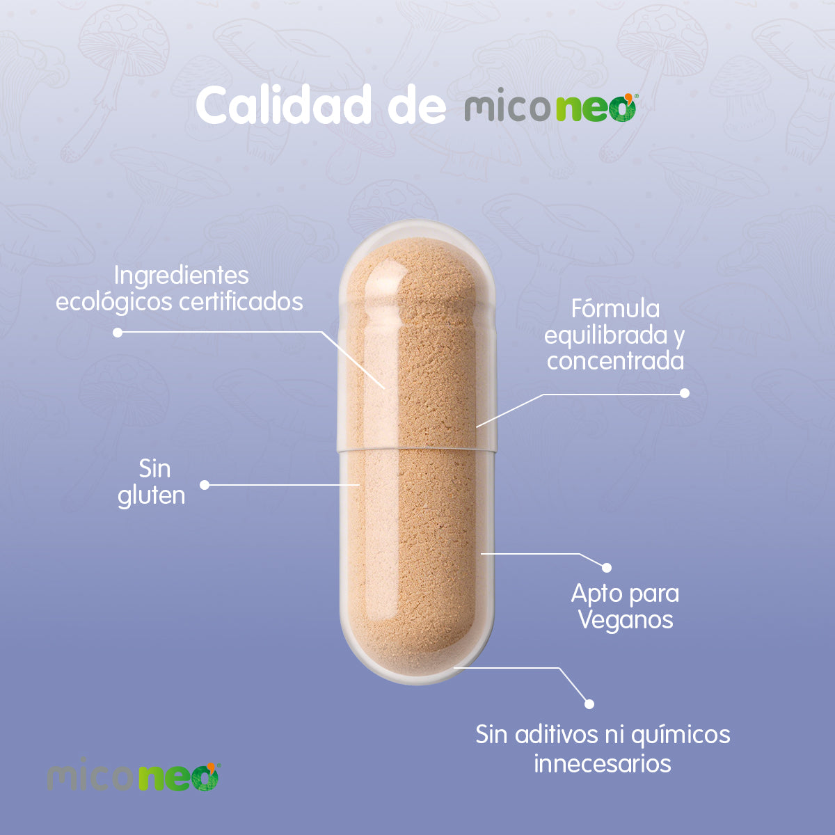 MICONEO GYB