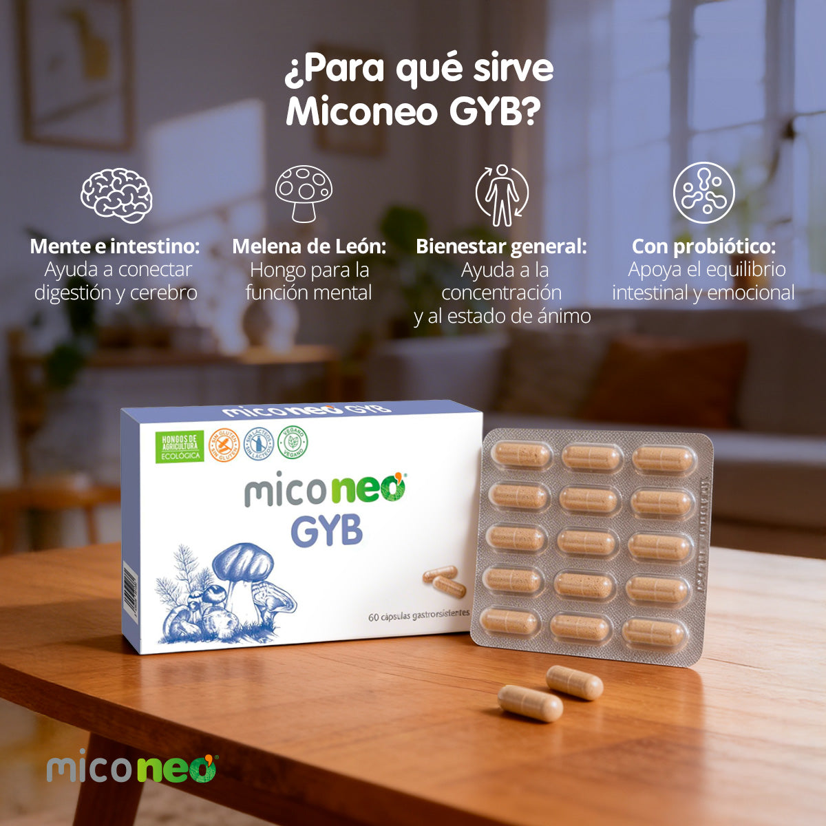 MICONEO GYB