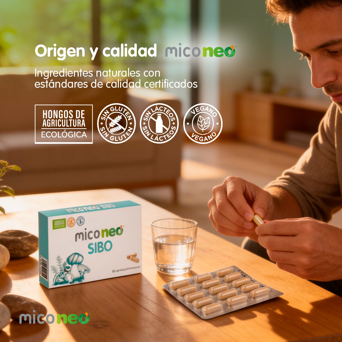 MICONEO SIBO