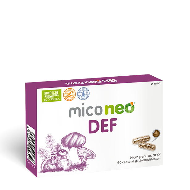 MICONEO DEF