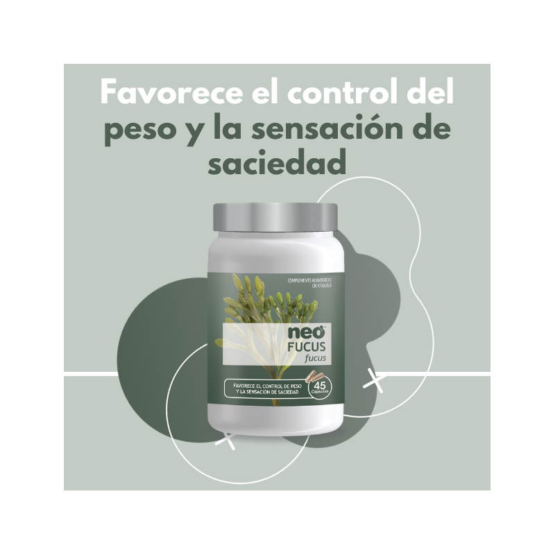 FUCUS NEO