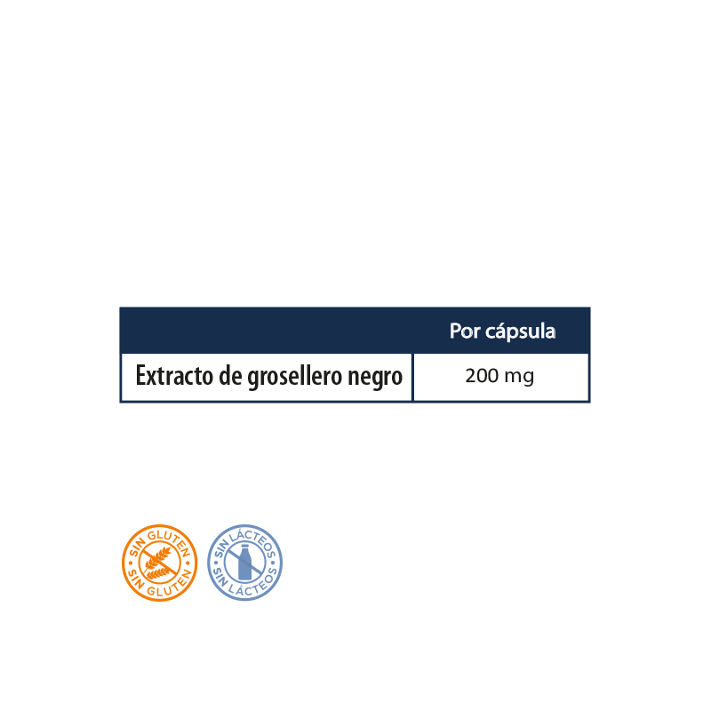 GROSELLERO NEGRO NEO
