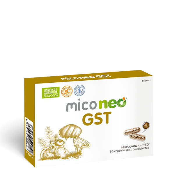 MICONEO GST