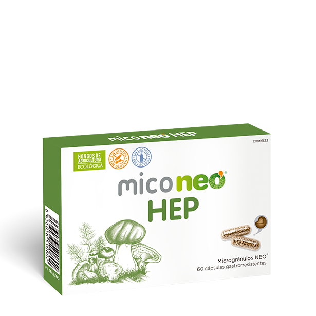 MICONEO HEP