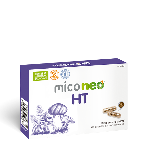 MICONEO HT