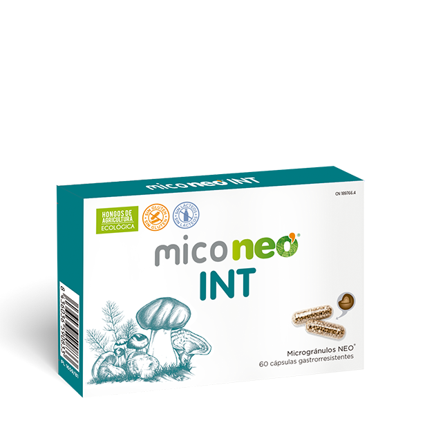 MICONEO INT