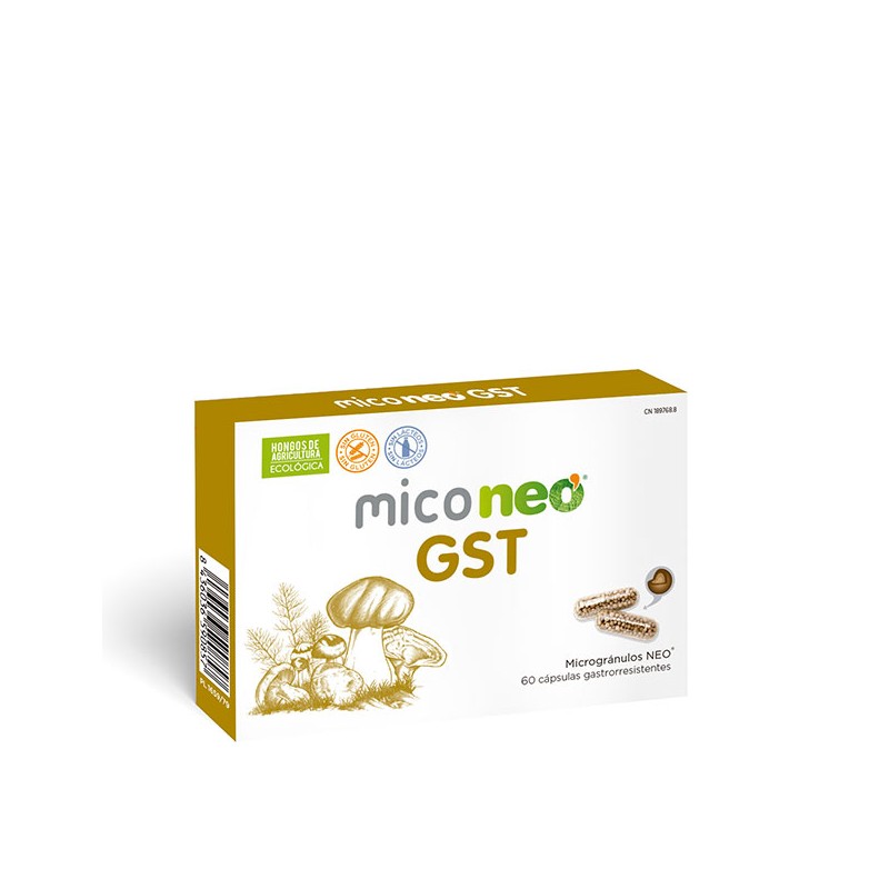 MICONEO GST