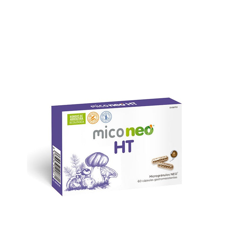 MICONEO HT
