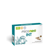 MICONEO INT