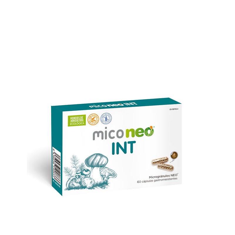 MICONEO INT