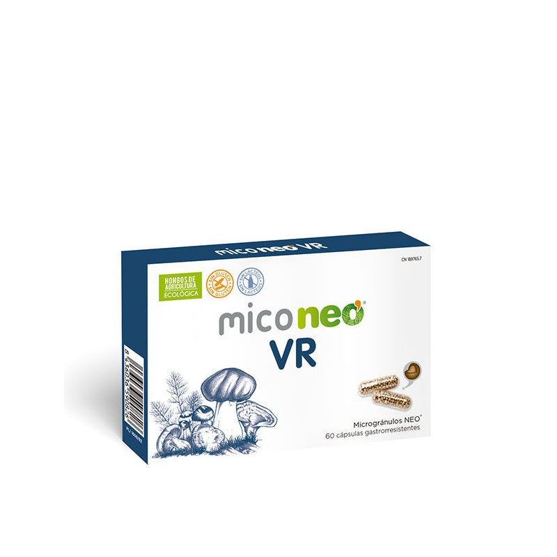 MICONEO VR