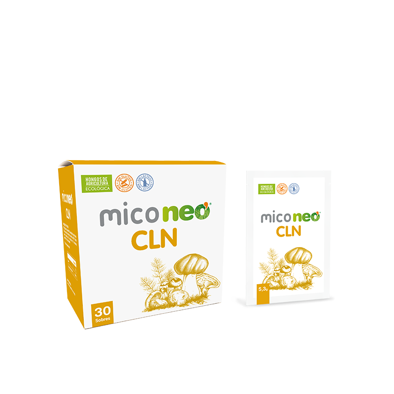 MICONEO CLN