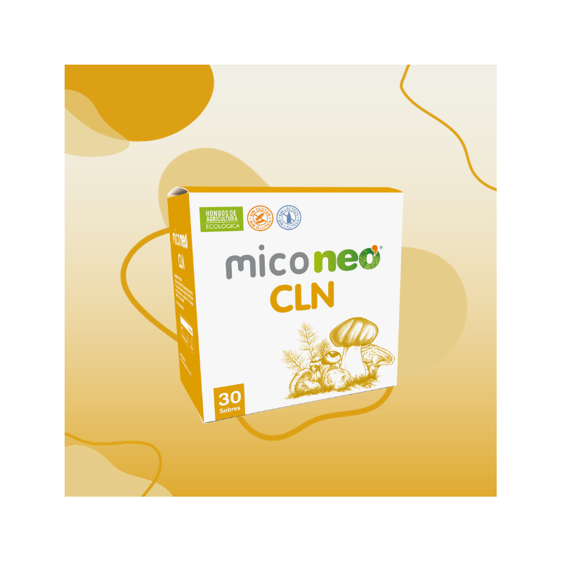 MICONEO CLN