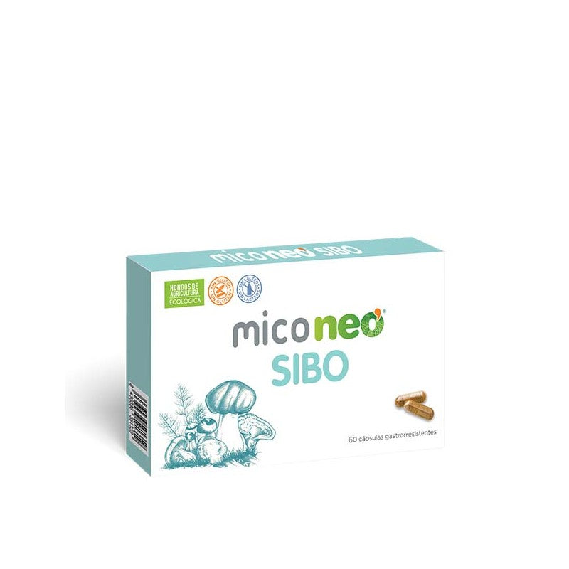 MICONEO SIBO