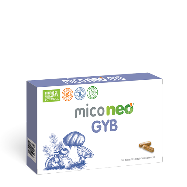 MICONEO GYB