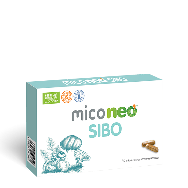 MICONEO SIBO