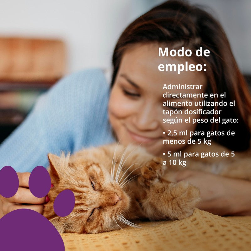 NEO CATS ANTISTRESS