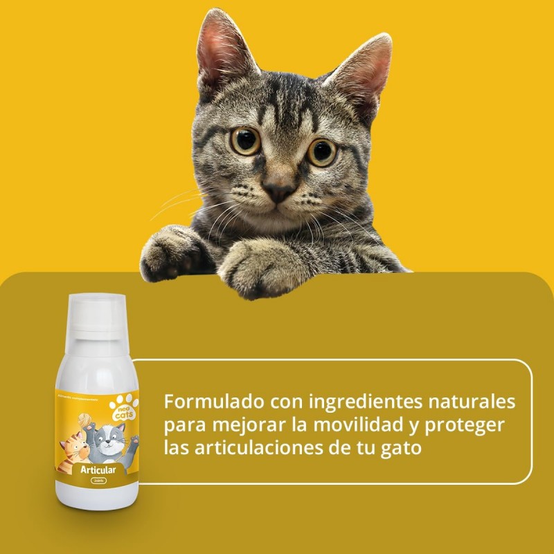 NEO CATS ARTICULAR-JOINTS