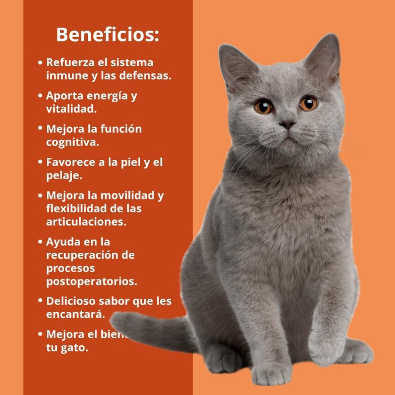 NEO CATS OMEGA-3