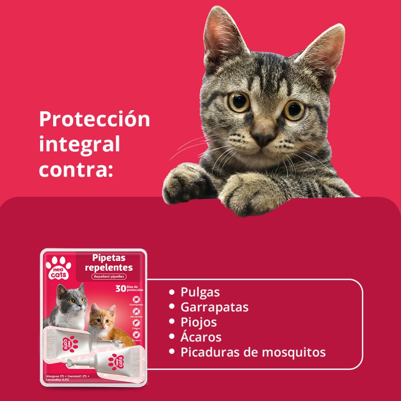 NEO CATS PIPETAS REPELENTES ANTI-INSECTOS