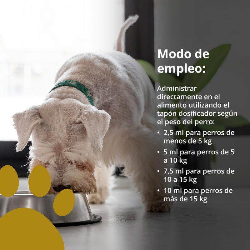 NEO DOGS ARTICULAR-JOINTS
