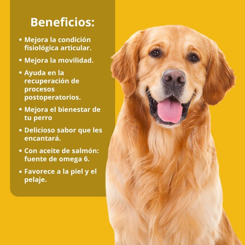 NEO DOGS ARTICULAR-JOINTS