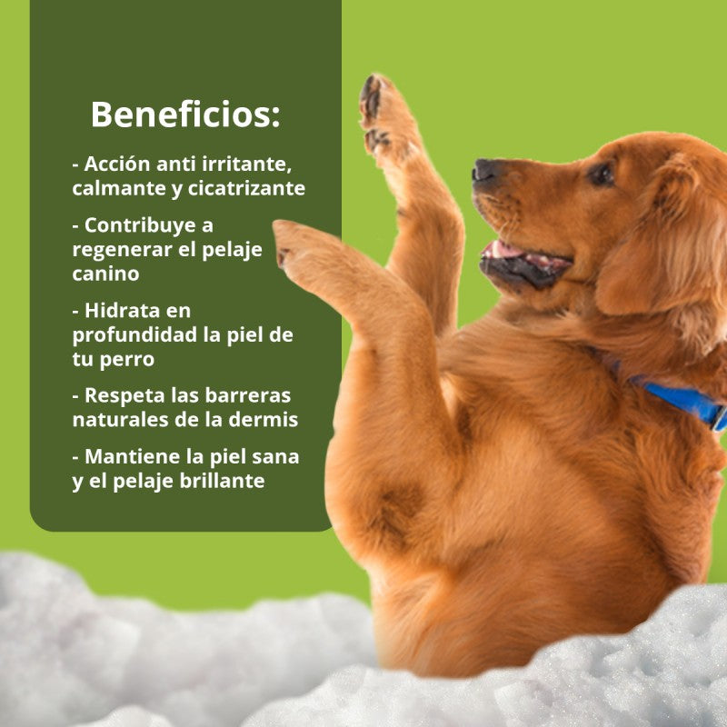NEO DOGS CHAMPU PIELES SENSIBLES