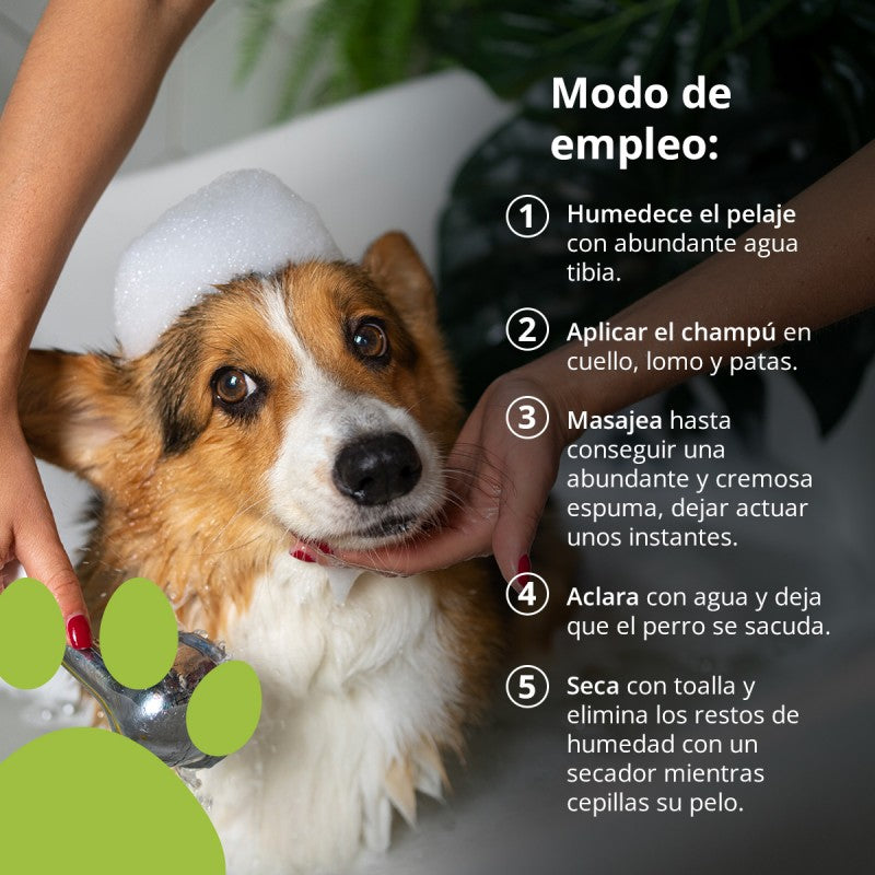 NEO DOGS CHAMPU PIELES SENSIBLES