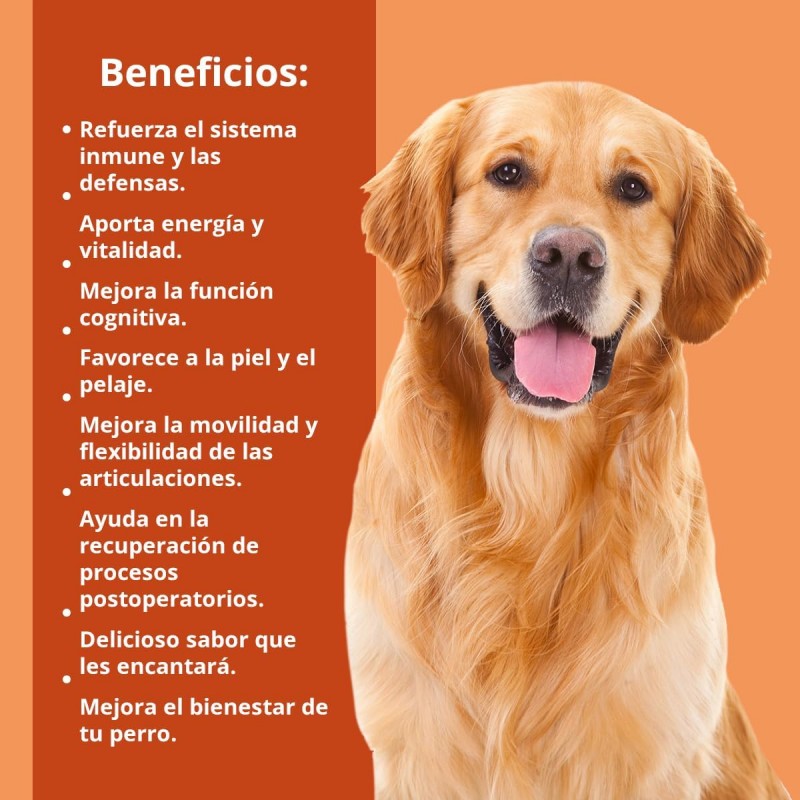 NEO DOGS OMEGA-3