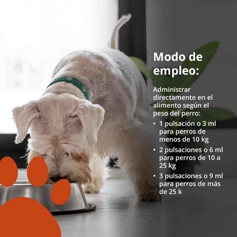 NEO DOGS OMEGA-3