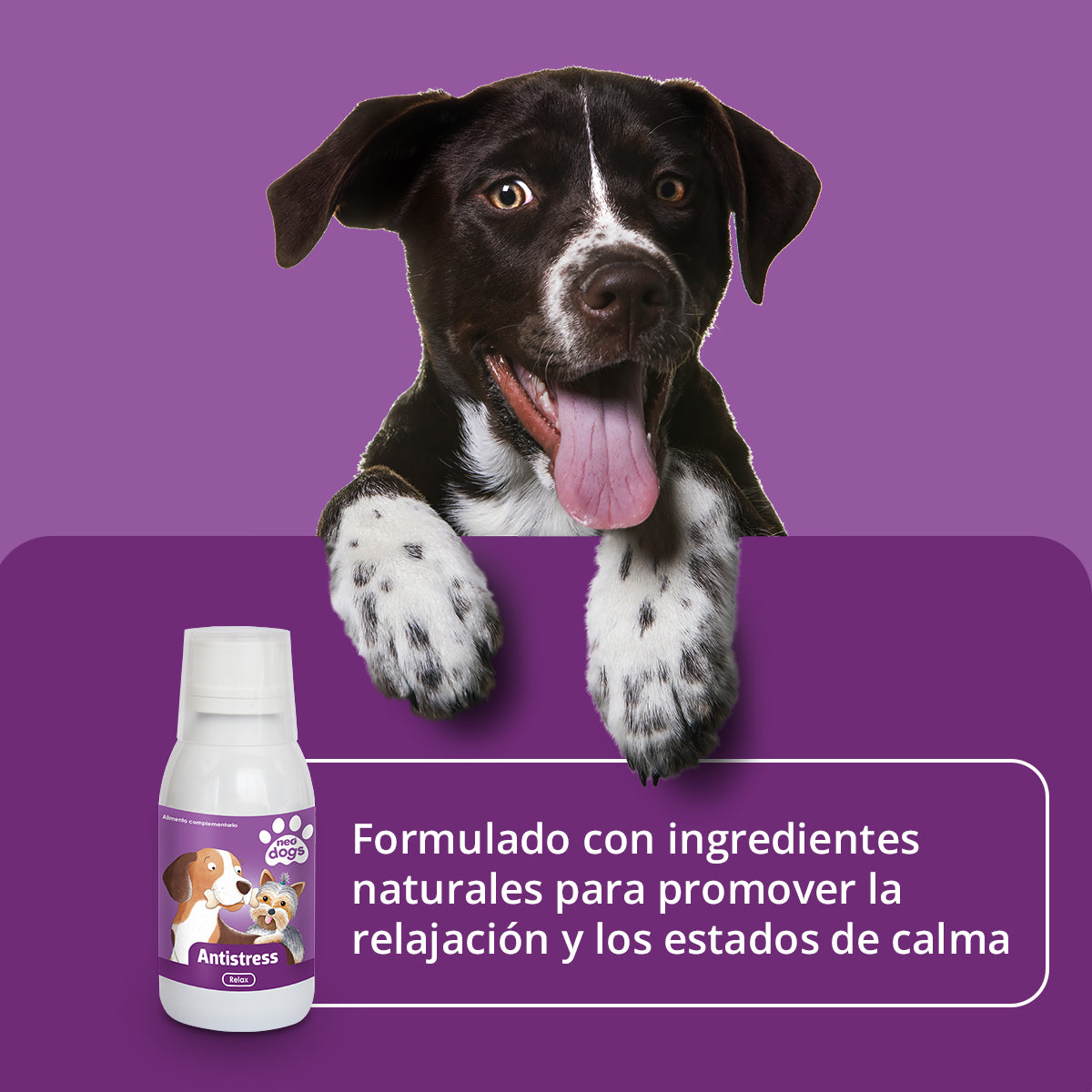 NEO DOGS ANTISTRESS