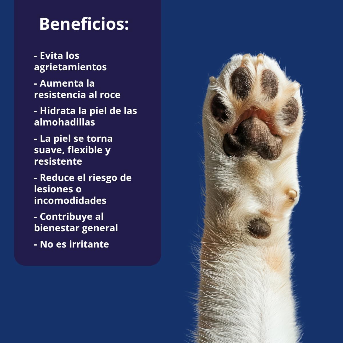NEO CATS PROTECTOR DE ALMOHADILLAS