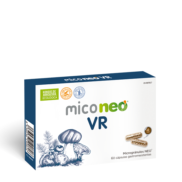 MICONEO VR