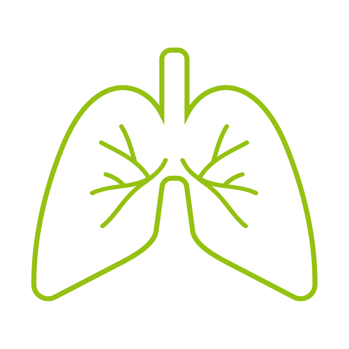 Vías respiratorias